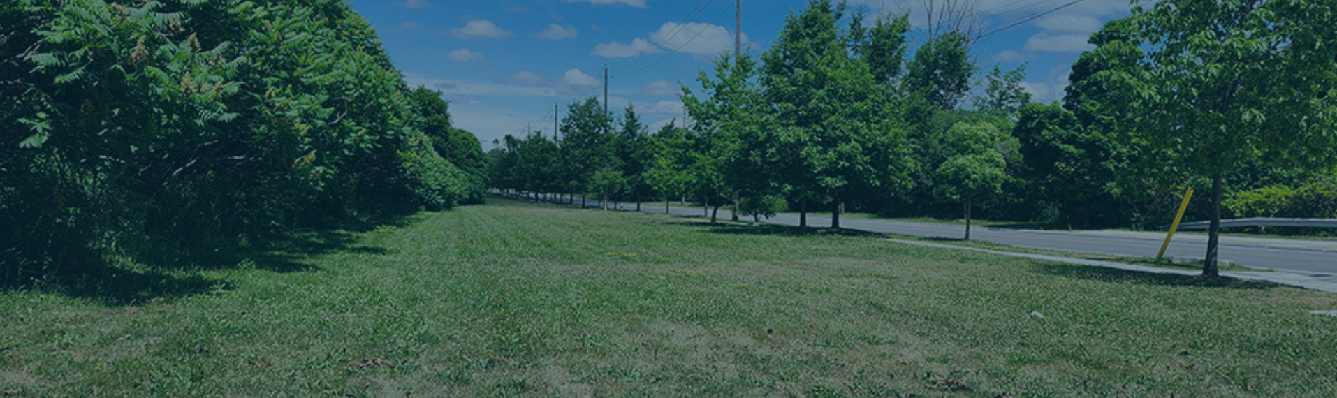 New Off-Leash Area for Dogs at Lawrence Avenue East and Starspray Boulevard